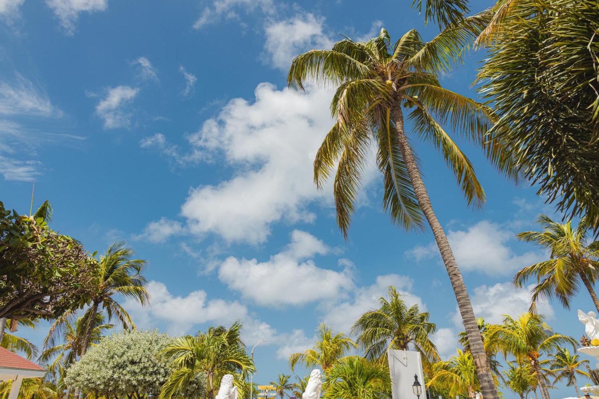 Amsterdam Manor Beach Resort Palm Beach Zewnętrze zdjęcie